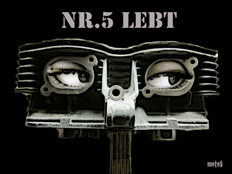 Nr.5 lebt