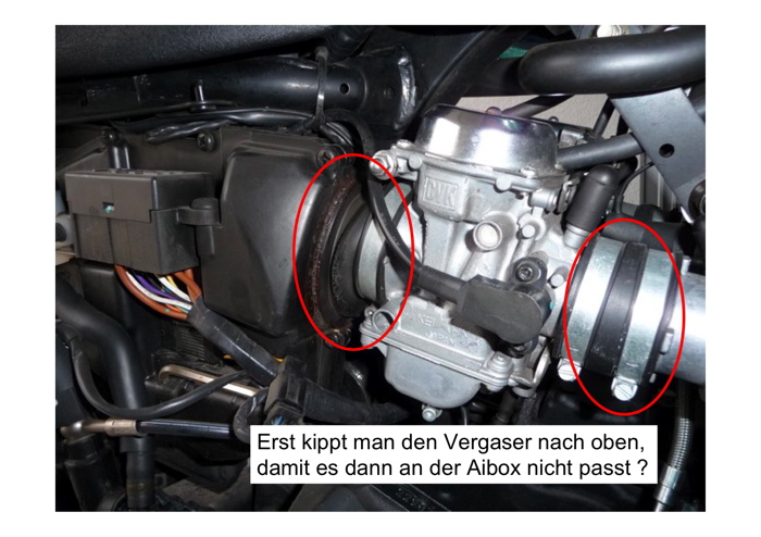 Bonni Vergase sitz schräg