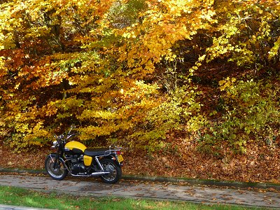 Herbst 1