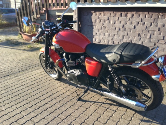 HerrZetts Bonnie 1