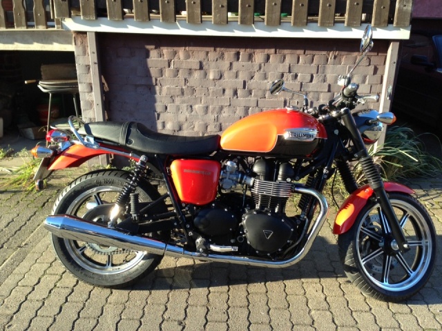 HerrZetts Bonnie 3