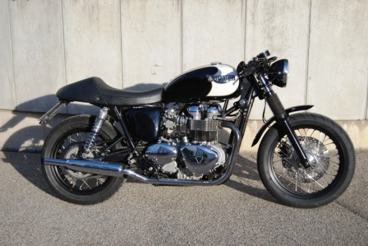 Ollis Bonnie 2012 1