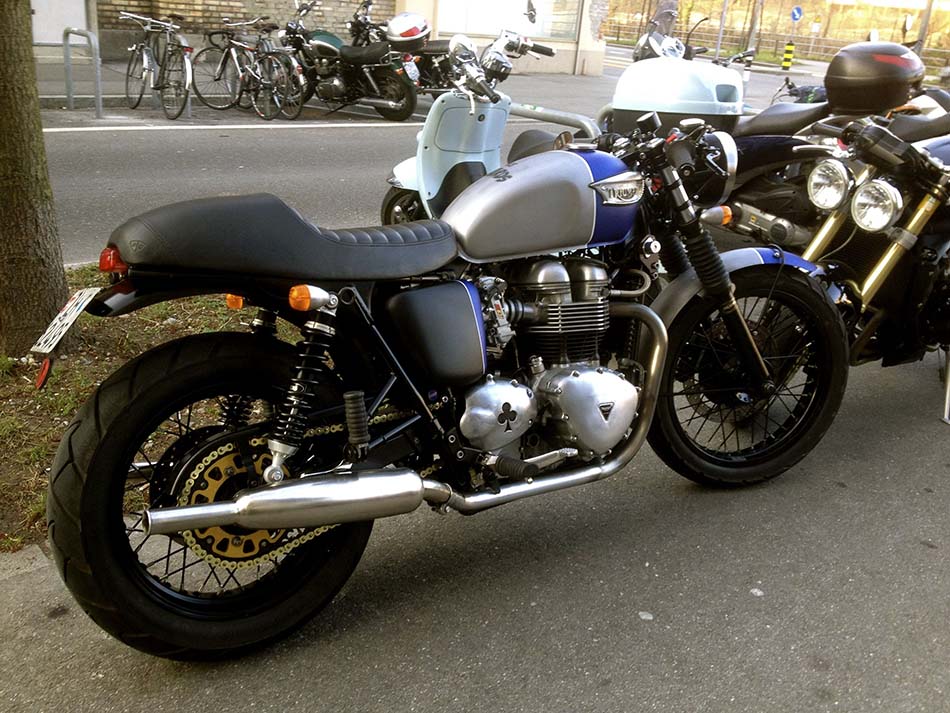 Sabine s Bonnie