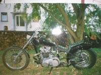 Triumph Tiger