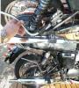 Blaze_Halteraufnahme_an_Bonneville