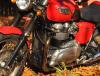 Motorschutz