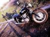 Bonneville und Petro