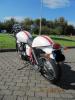 Fifteen's Thruxton SE03 Fifteen's Thruxton SE03