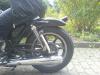 Adelheid11