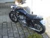 Blackbonnie 13.2.11
