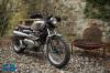 motek Scramb mit Zard motek Scramb mit Zard