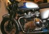 Motek Bonnie
