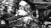 DS