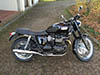 Seegas Bonneville 0062