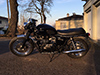 Seegas Bonneville 008 Seegas Bonneville 008