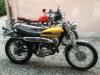 motek Suzuki