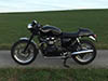 Seegas Bonneville 0043
