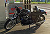 Seegas Bonneville 0071 Seegas Bonneville 0071