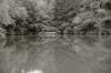 Teich Teich