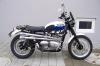 Scrambler mit Shark-Auspuff Scrambler mit Shark-Auspuff