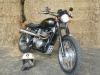 Scrambler Festus