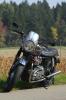 bonnie im herbst 08