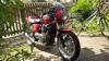Thrux mit Flyscreen Thrux mit Flyscreen