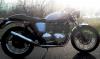 neuer bonnie gewand