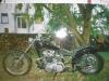 Triumph Tiger